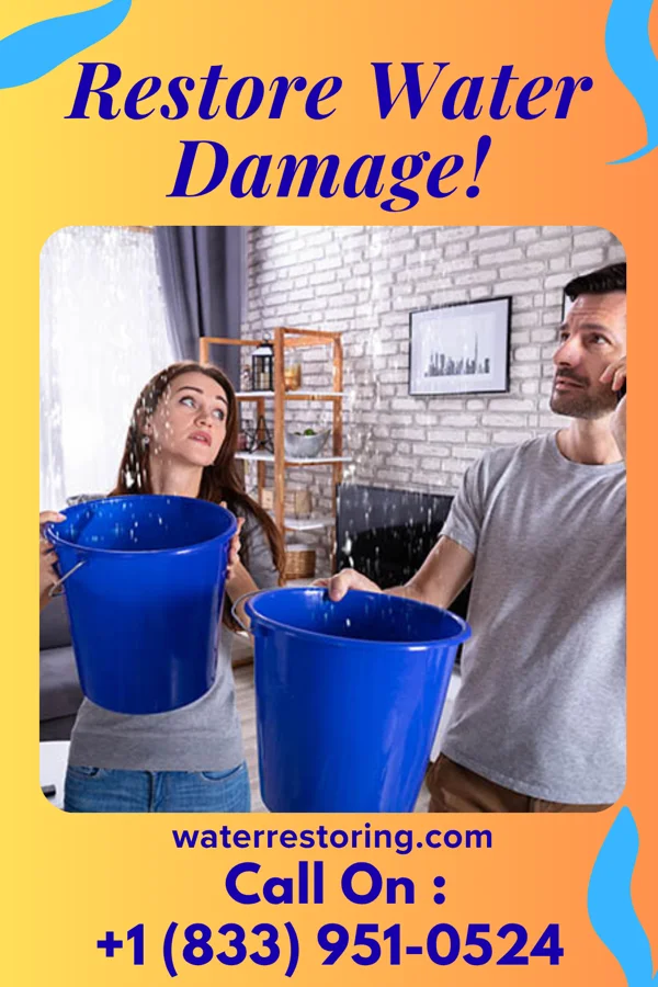 water restoration Prestige Recovery Force Centreville