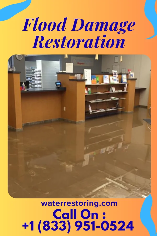 Flood Damage Restoration in Centreville, MS