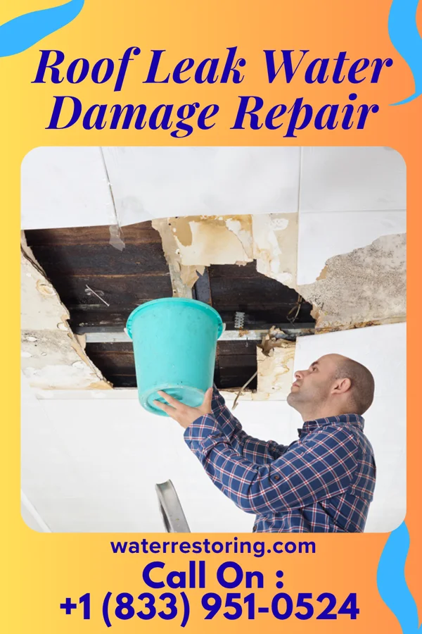 Roof Leak Water Damage Repair in Centreville, MS