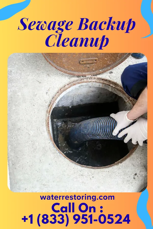 Sewage Backup Cleanup in Centreville, MS