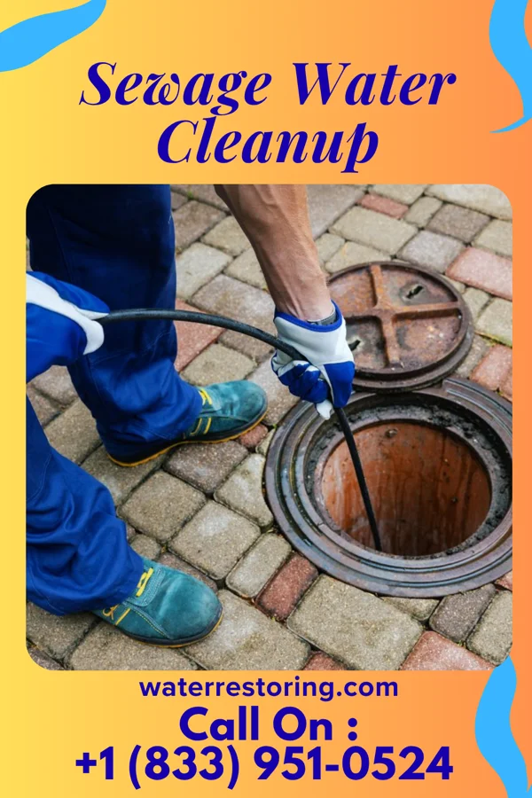 Sewage Water Cleanup in Centreville, MS
