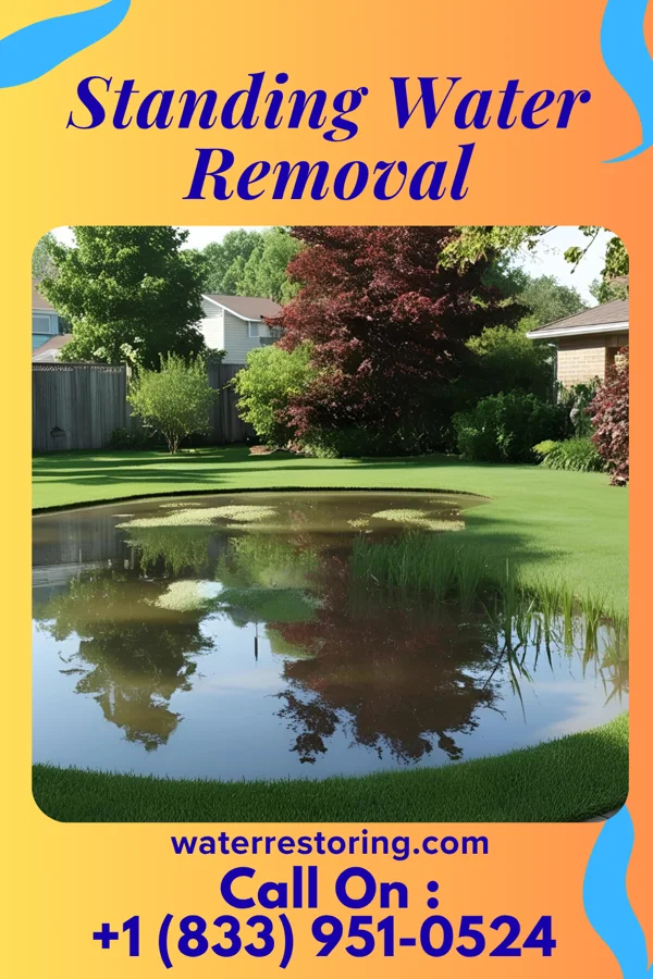 Standing Water Removal in Centreville, MS